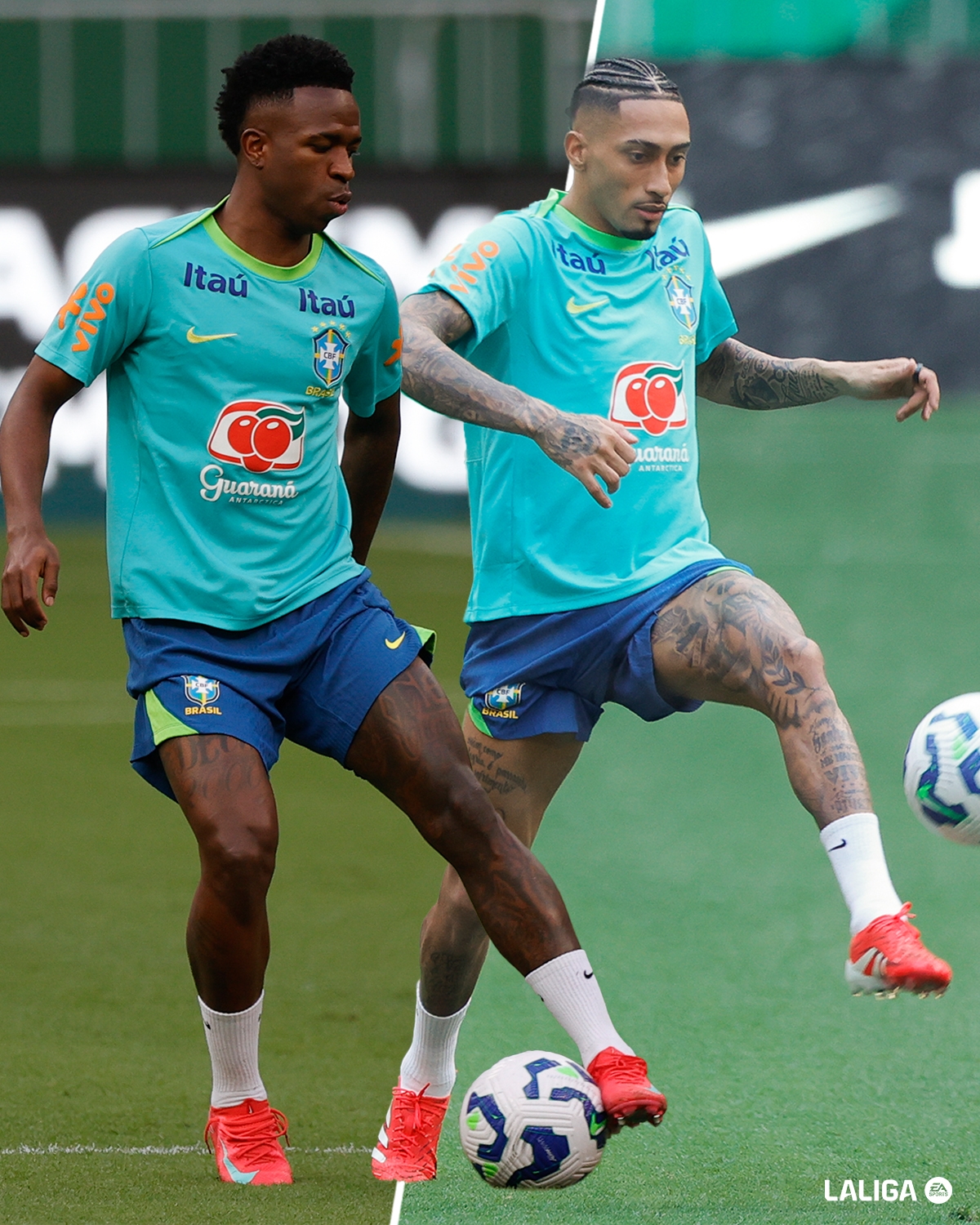 西甲官推發(fā)問：你是巴西主帥，左邊鋒維尼修斯&拉菲二選一選誰？