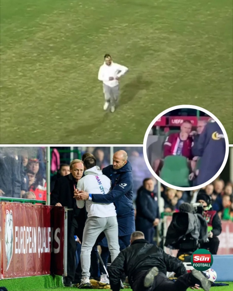 太陽(yáng)報(bào)：在挪威和摩爾多瓦的比賽中，一球迷試圖沖入球場(chǎng)找哈蘭德